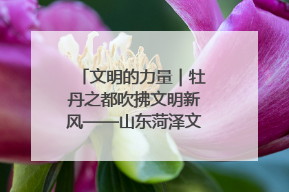 文明的力量｜牡丹之都吹拂文明新风——山东菏泽文明创建一线见闻