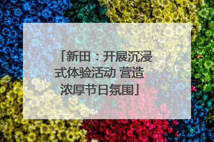 新田：开展沉浸式体验活动 营造浓厚节日氛围