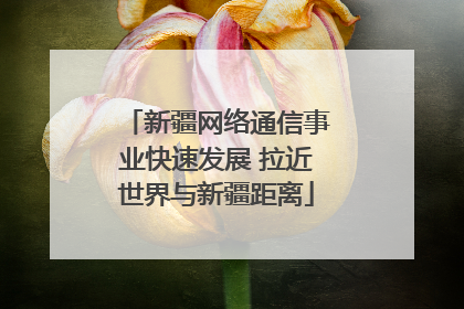 新疆网络通信事业快速发展 拉近世界与新疆距离