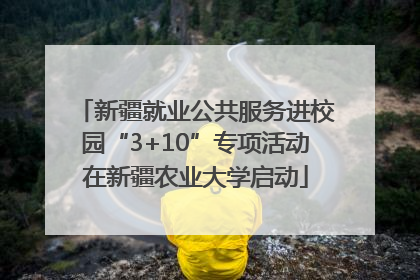 新疆就业公共服务进校园“3+10”专项活动在新疆农业大学启动