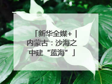 新华全媒+｜内蒙古：沙海之中建“蓝海”