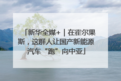 新华全媒+｜在霍尔果斯，这群人让国产新能源汽车“跑”向中亚