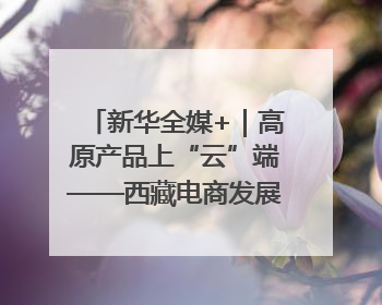 新华全媒+｜高原产品上“云”端——西藏电商发展一线观察