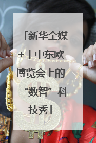 新华全媒+丨中东欧博览会上的“数智”科技秀
