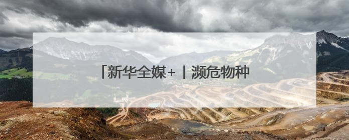 新华全媒+丨濒危物种绿孔雀人工繁育与野化放归试验取得关键进展