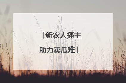 新农人播主 助力卖瓜难