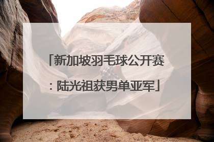 新加坡羽毛球公开赛：陆光祖获男单亚军