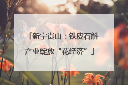 新宁崀山：铁皮石斛产业绽放“花经济”