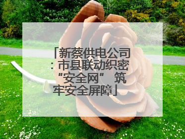 新蔡供电公司：市县联动织密“安全网” 筑牢安全屏障