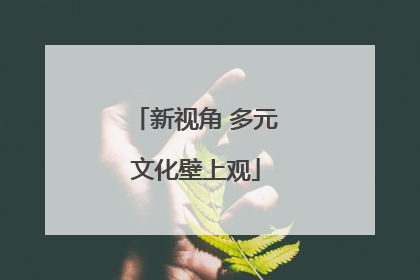 新视角 多元文化壁上观