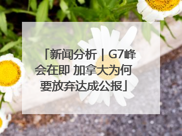新闻分析｜G7峰会在即 加拿大为何要放弃达成公报