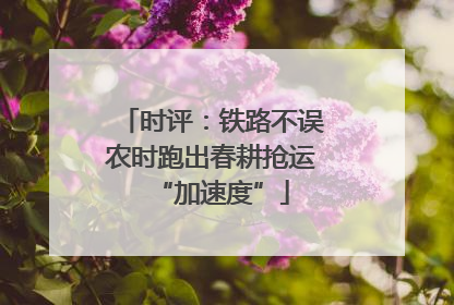 时评：铁路不误农时跑出春耕抢运“加速度”