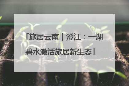 旅居云南｜澄江：一湖碧水激活旅居新生态
