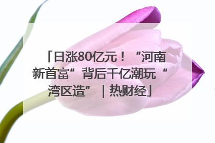 日涨80亿元！“河南新首富”背后千亿潮玩“湾区造”｜热财经