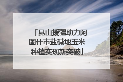 昆山援疆助力阿图什市盐碱地玉米种植实现新突破