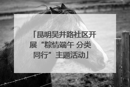 昆明吴井路社区开展“粽情端午 分类同行”主题活动