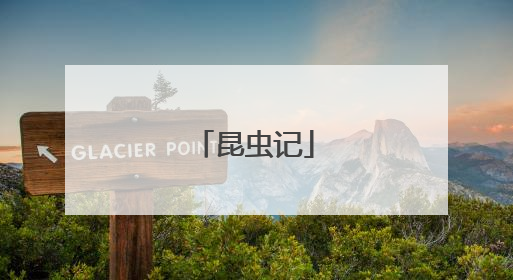 昆虫记