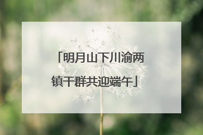 明月山下川渝两镇干群共迎端午