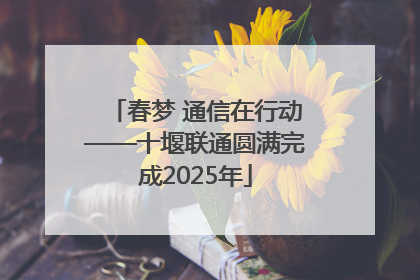 春梦 通信在行动——十堰联通圆满完成2025年