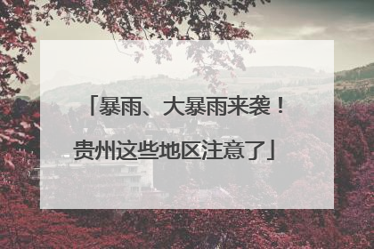 暴雨、大暴雨来袭！贵州这些地区注意了