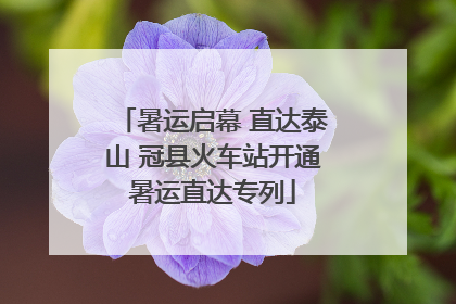 暑运启幕 直达泰山 冠县火车站开通暑运直达专列