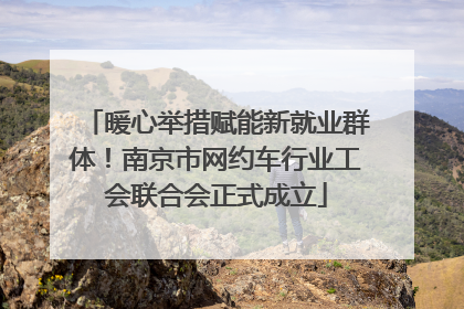 暖心举措赋能新就业群体！南京市网约车行业工会联合会正式成立