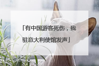 有中国游客死伤，我驻意大利使馆发声