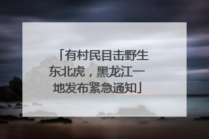 有村民目击野生东北虎，黑龙江一地发布紧急通知