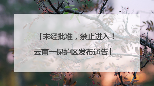 未经批准，禁止进入！云南一保护区发布通告