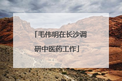 毛伟明在长沙调研中医药工作
