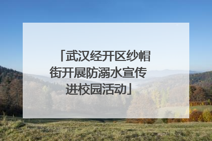 武汉经开区纱帽街开展防溺水宣传进校园活动