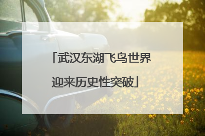 武汉东湖飞鸟世界迎来历史性突破