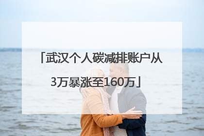 武汉个人碳减排账户从3万暴涨至160万
