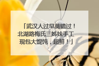 武汉人过早莫错过！北湖路梅氏三姊妹手工现包大馄饨，超鲜！