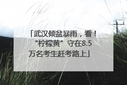 武汉倾盆暴雨，看！“柠檬黄”守在8.5万名考生赶考路上