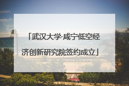 武汉大学·咸宁低空经济创新研究院签约成立