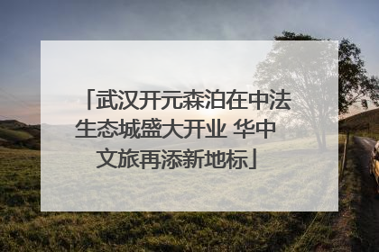武汉开元森泊在中法生态城盛大开业 华中文旅再添新地标