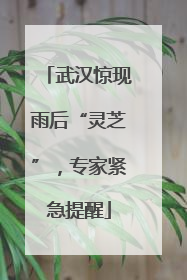 武汉惊现雨后“灵芝”，专家紧急提醒