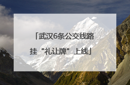 武汉6条公交线路挂“礼让牌”上线