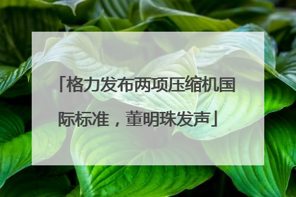 格力发布两项压缩机国际标准，董明珠发声