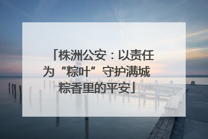 株洲公安：以责任为“粽叶”守护满城粽香里的平安
