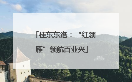 桂东东洛：“红领雁”领航百业兴