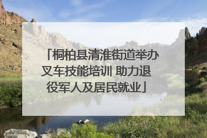 桐柏县清淮街道举办叉车技能培训 助力退役军人及居民就业