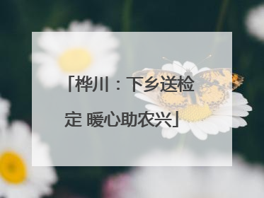 桦川：下乡送检定 暖心助农兴
