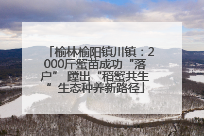 榆林榆阳镇川镇：2000斤蟹苗成功“落户” 蹚出“稻蟹共生”生态种养新路径