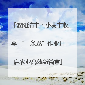 濮阳清丰：小麦丰收季 “一条龙”作业开启农业高效新篇章