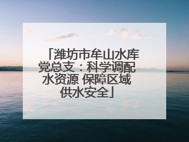 潍坊市牟山水库党总支：科学调配水资源 保障区域供水安全
