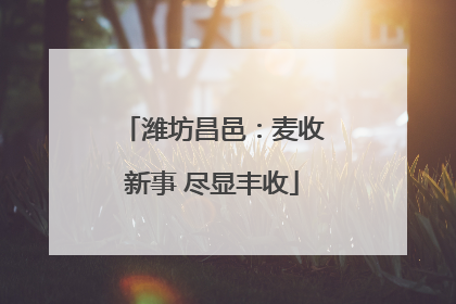 潍坊昌邑：麦收新事 尽显丰收