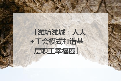 潍坊潍城：人大+工会模式打造基层职工幸福圈