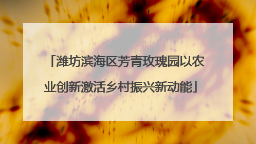 潍坊滨海区芳青玫瑰园以农业创新激活乡村振兴新动能